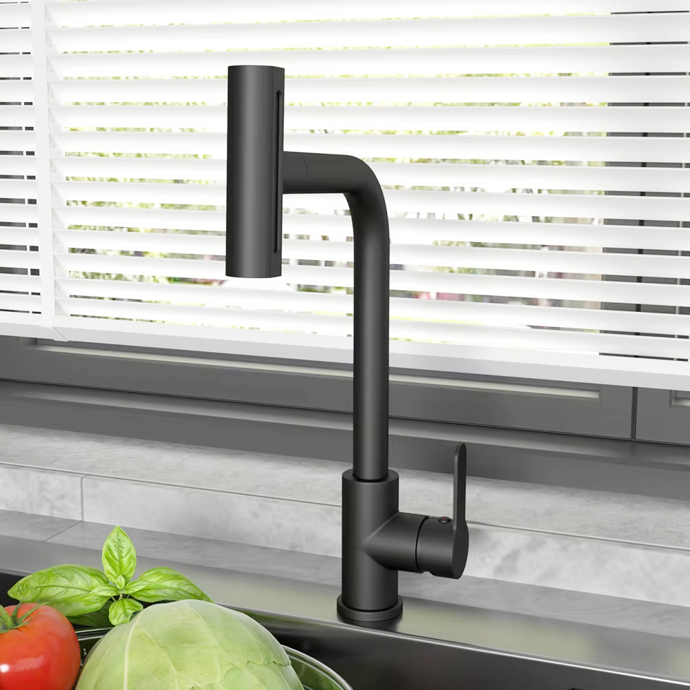Black Pull Out Kitchen Sink Fa - đánh giá và giá Commercial Kitchen Mixer Tap
